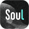 soulVIP版无限语音