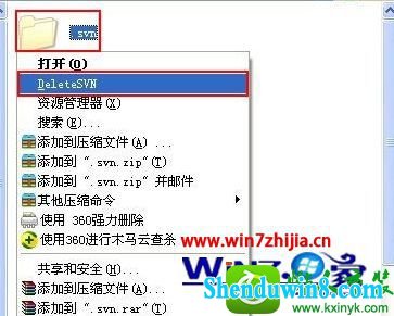 win10ϵͳɾ.svnļĲ