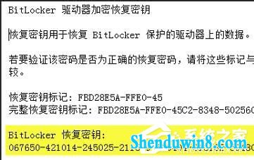 win8.1װϵͳBitlockerô죿