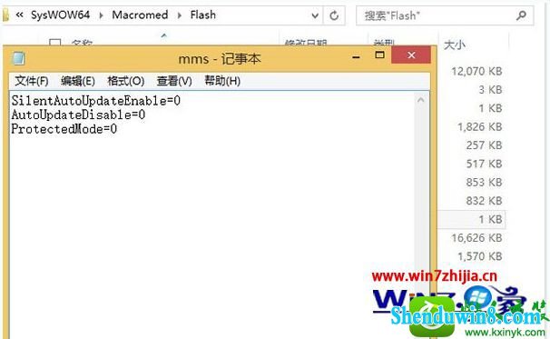 win10ϵͳûflashֹּͣӦĽ