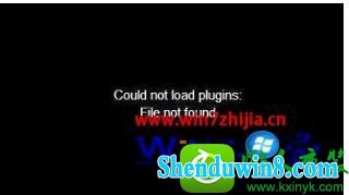 win10ϵͳҳƵʱʾCould not load pluginsĽ