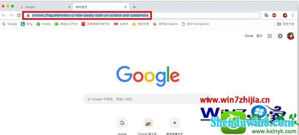 win10ϵͳֹChromeURLwwwĲ