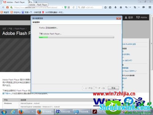 win10ϵͳFlash playerĲ