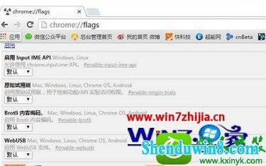 win8.1ϵͳchromeռڴߵĽ