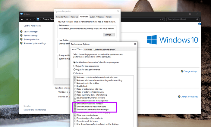 MSDN win10 1903ԭ