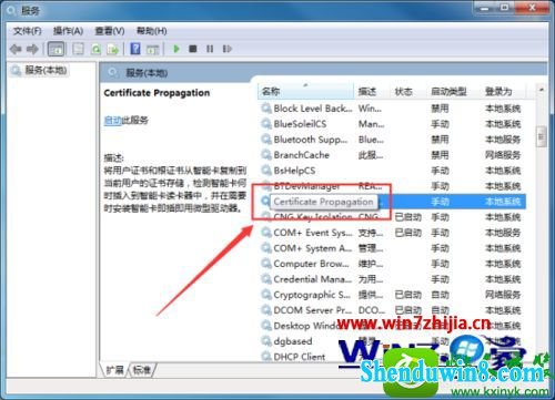 win8.1ϵͳáCertificatepropagationĲ