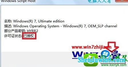 win10ϵͳchew-wga߼Ĳ