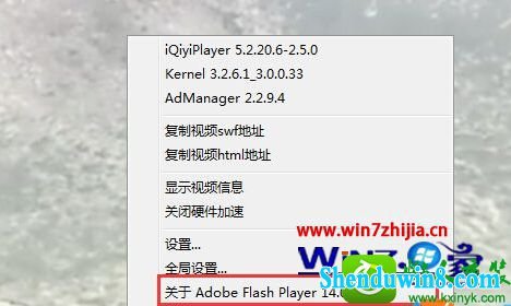 win10ϵͳ鿴iEеFlash player汾Ĳ